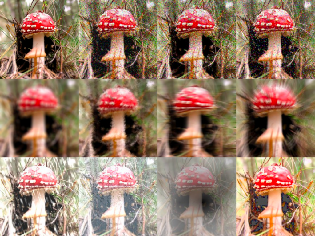 INESC-ID researchers develop AI model inspired by human vision